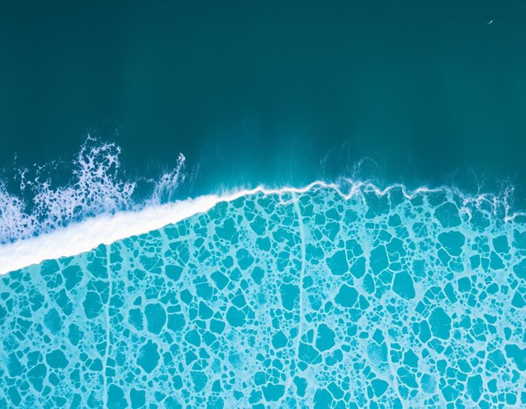 Aerial view of clean lines of swell wrapping into a tropical reef bay – South Lombok